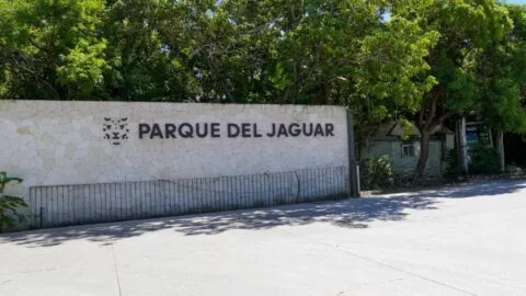 ¿Por qué cobraban por entrar al Parque del Jaguar, en Tulum?