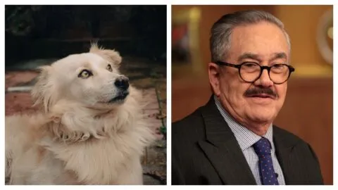 Pedro Sola desata indignación: famosos lo critican por sus declaraciones sobre envenenar perros