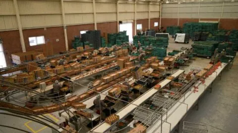 PIB crece a su mayor nivel durante el segundo trimestre del 2026