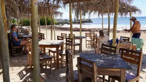 Aunque el acceso es gratuito, estacionarse en las playas del Parque del Jaguar sí cuesta y se necesita reservación
