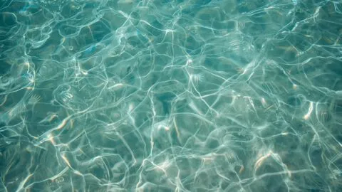 ¿Viajas este verano? Las playas de Estados Unidos con restricciones por contaminación del agua