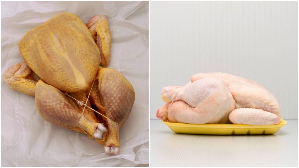 El color de la piel del pollo tiene que ver con su alimentación