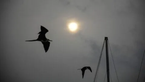 El polvo del Sahara trae olas de calor y conjuntivitis a México: ¿cómo afectará a México en 2026?