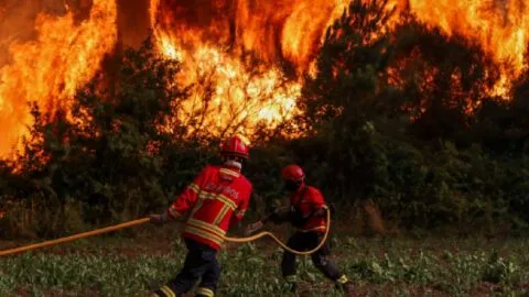 Fuertes imágenes: Portugal combate voraz incendio forestal con más de mil bomberos