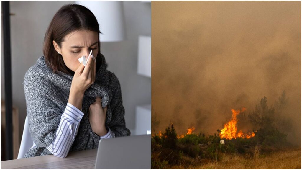 Cuida tu salud ante los incendios forestales