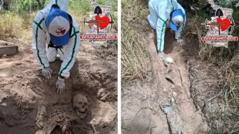 Localizan 7 fosas clandestinas en Miguel Alemán, Tamaulipas