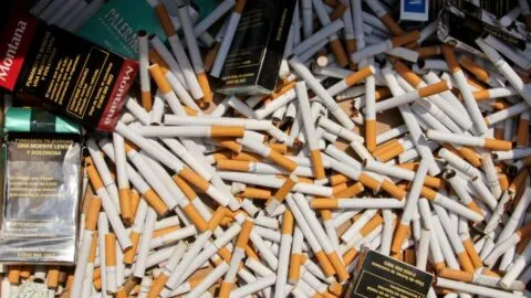 Golpe al contrabando: decomisan 84 mil cigarrillos presuntamente apócrifos en el AIFA