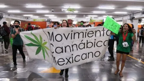 Colectivo cannábico encabeza las movilizaciones en CDMX este 9 de julio