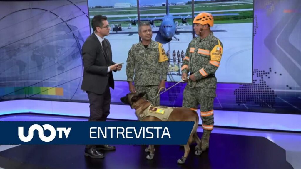 cabrio-perro-rescatista-ejercito-mexicano-ayuda-venezuela