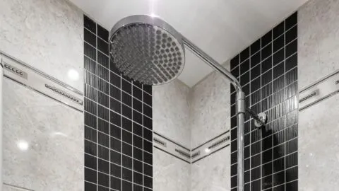 ¿Cuál es la forma ideal de eliminar el sarro de los orificios de la ducha?