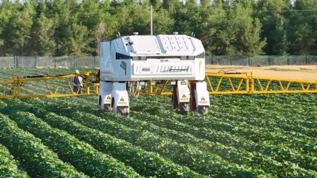 robots inteligentes en campos de algodón