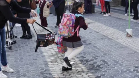 Resultados SAID Edomex 2026: este viernes podrás saber así en qué escuela quedó tu hijo