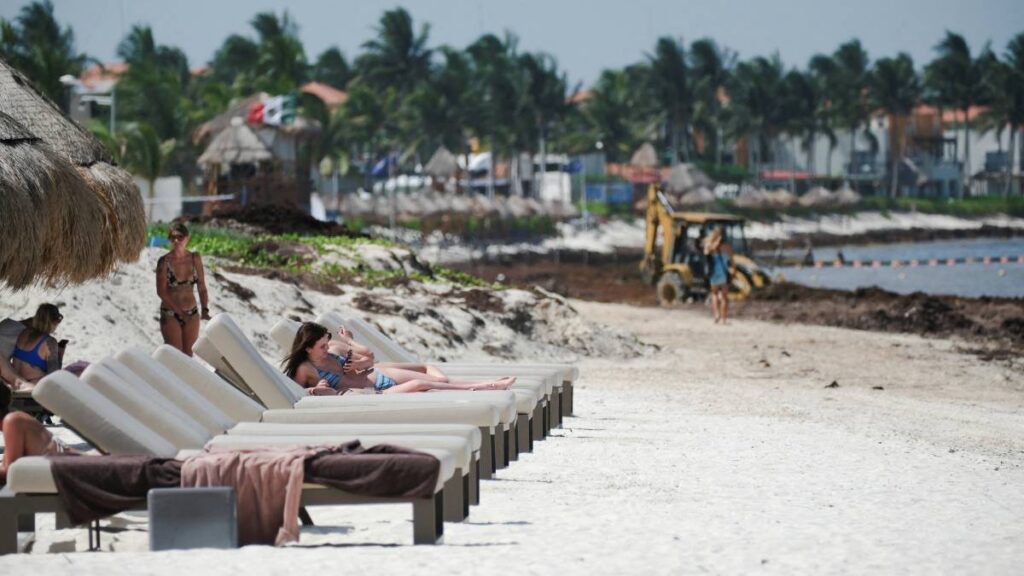 Autoridades prevén más de 119 mil toneladas de sargazo en Quintana Roo, la cifra más alta registrada hasta ahora