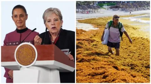 Sargazo atípico: Gobierno anuncia inversión de 2 mil 635 mdp para frenar su llegada a playas