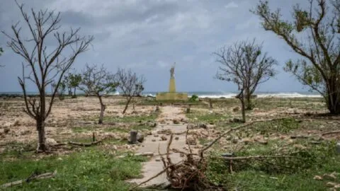 Sin luz ni agua: el devastador paso del supertifón Bavi en islas de EE.UU.; ve a dónde se dirige