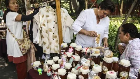 Solo 15.9% de las mujeres emprendió en la formalidad; 20 estados retrocedieron en 2025