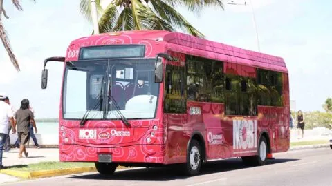Quintana Roo inicia credencialización de la Tarifa Social del transporte MOBI en Chetumal