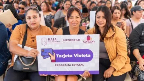 Comienza el registro de la Tarjeta Violeta Bienestar; revisa requisitos y dónde inscribirte