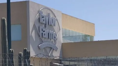 Taylor Farms mantiene operaciones en Guanajuato pese a investigación por brote de ciclosporiasis en EE. UU.