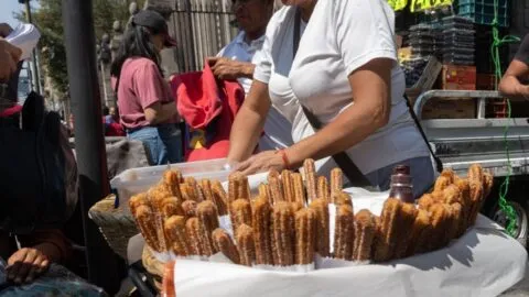 Escápate de la CDMX: así puedes llegar en Tren Suburbano a Tepotzotlán