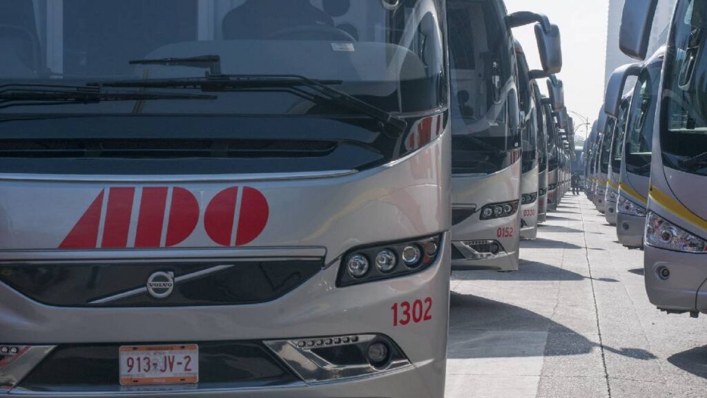 tienes-credencial-inapam-asi-puedes-obtener-50-por-ciento-de-descuento-en-autobuses