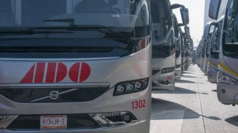 ¿Tienes credencial Inapam? Así puedes obtener 50% de descuento en autobuses