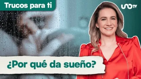 ¿Por qué cuando llueve nos da más sueño? Maggie Hegyi explica qué ocurre en tu cerebro