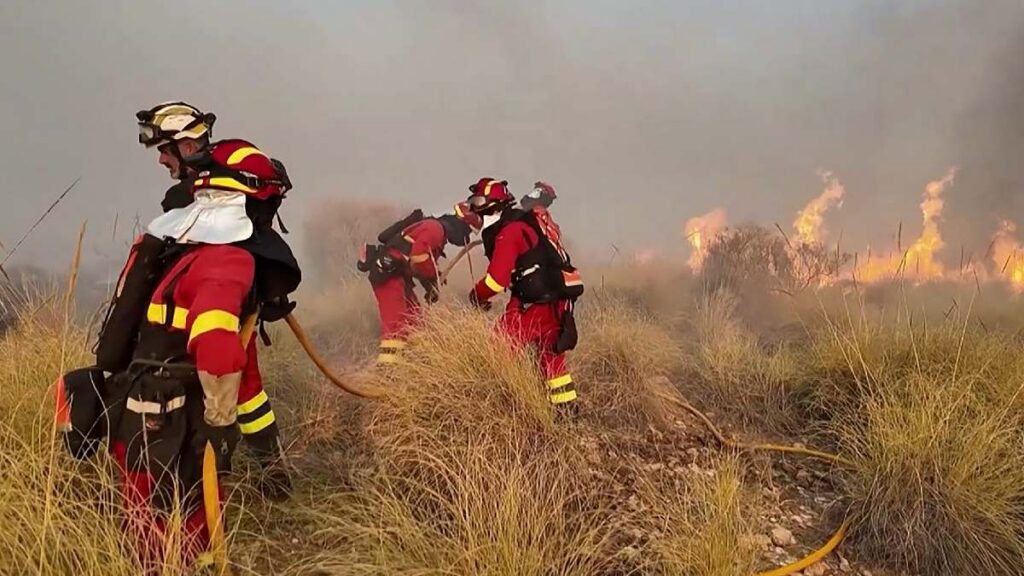 Van 11 muertos por incendio forestal en España; víctimas intentaban huir