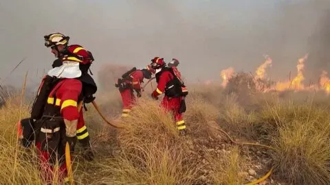 Van 11 muertos por incendio forestal en España; víctimas intentaban huir