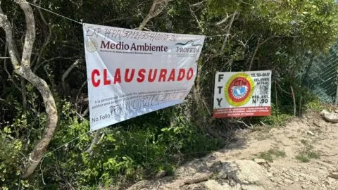 Suspenden polémico proyecto inmobiliario Las Dunas, en Puerto de Chuburná, Yucatán
