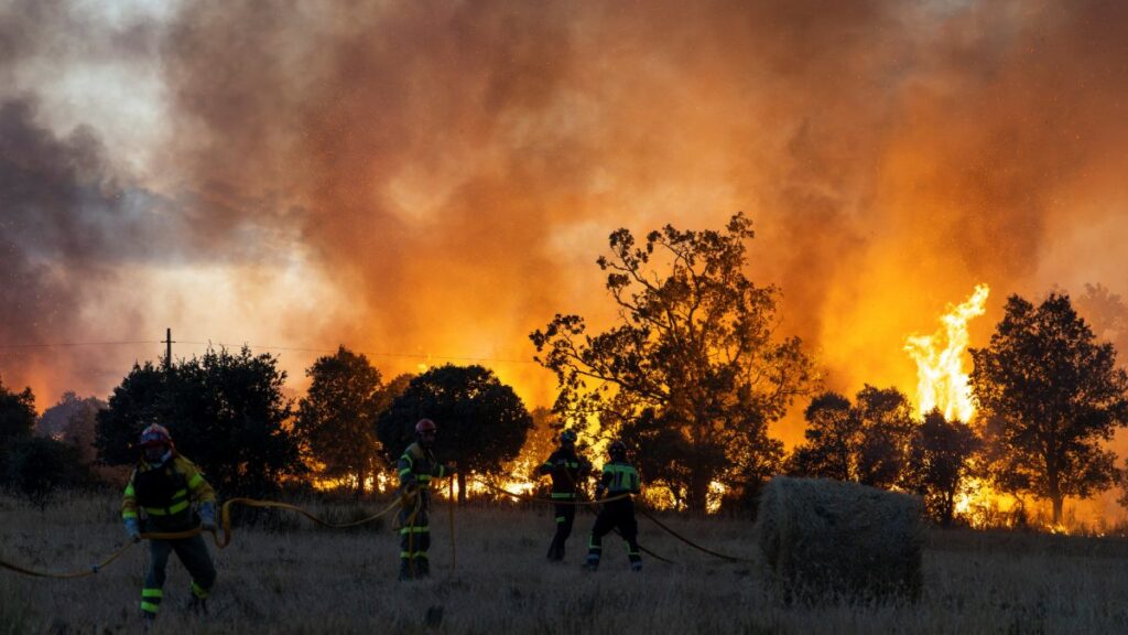 Incendio en Zamora España, está sin control y arrasa miles de hectáreas
