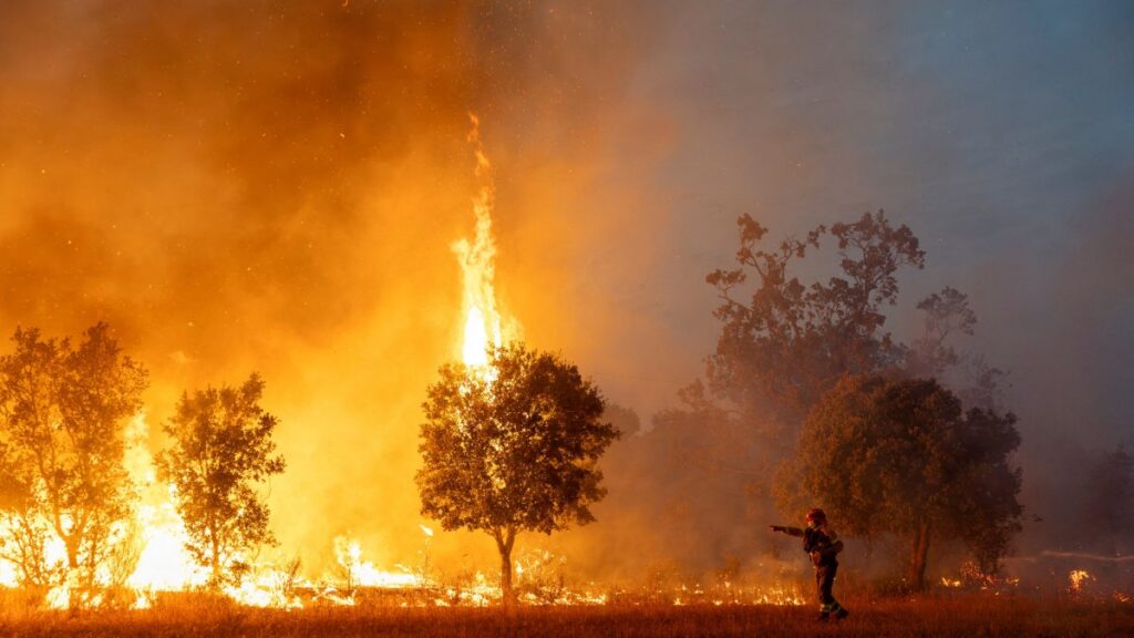 Incendio en Zamora España arrasa con hectáreas de bosque