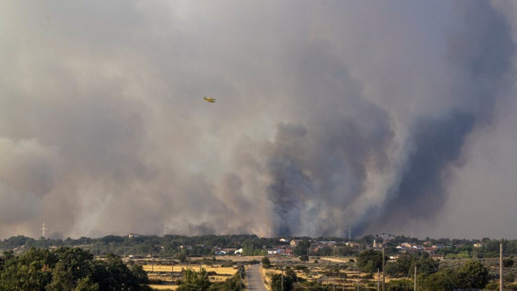 Incendio en Zamora España arrasa con hectáreas de bosque