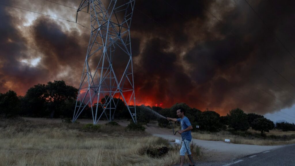 Incendio en Zamora España arrasa con hectáreas de bosque