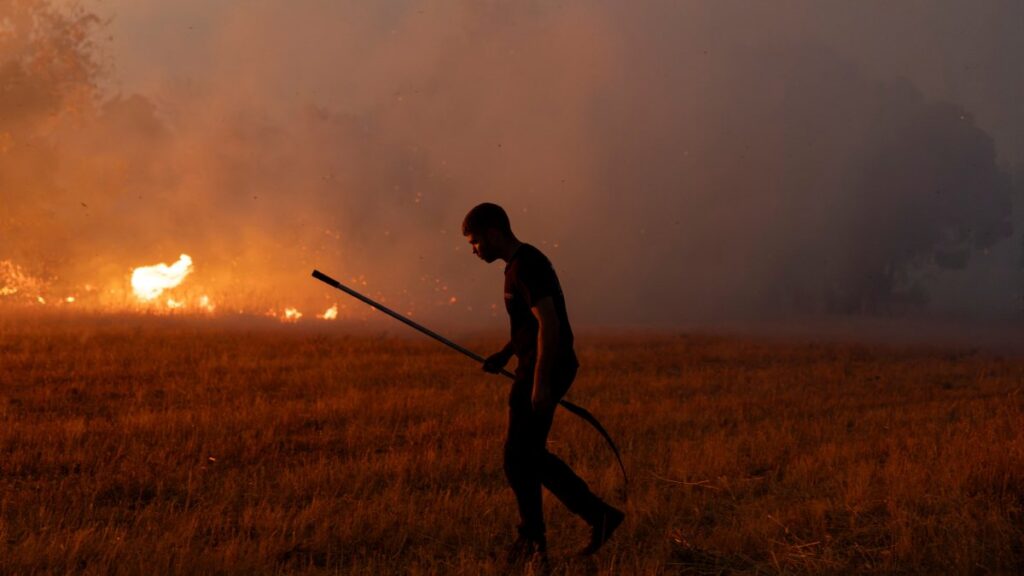 Incendio en Zamora España arrasa con hectáreas de bosque