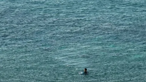 España rescata a 2 migrantes tras 15 días a la deriva; buscan a 17 desaparecidos en el Mediterráneo