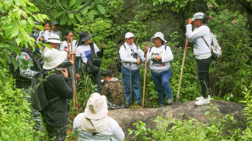Presentan ala Alerta Nacional de Búsqueda