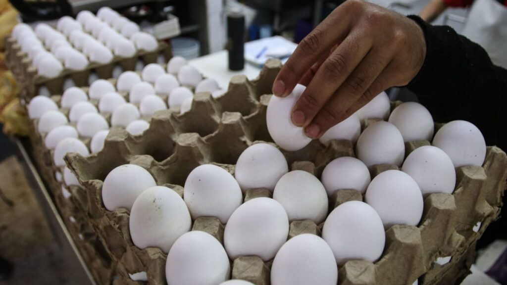 Aumento del precio del huevo en México