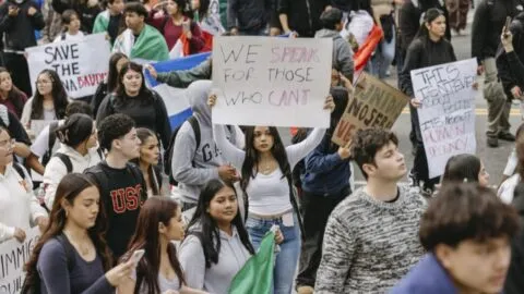 Nueva York ofrece colegiatura gratis en sus universidades públicas, y estos inmigrantes también pueden pedirla