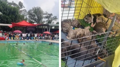 Clausuran balneario en Bosques de Aragón por vender alcohol y perritos