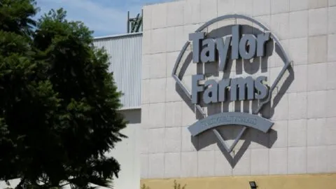 Brotes en productos de Taylor Farms exhiben la dependencia alimentaria de EE. UU. hacia México
