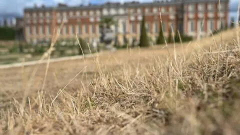 Austria rompe récord de muertes por ola de calor: van 646 en dos meses