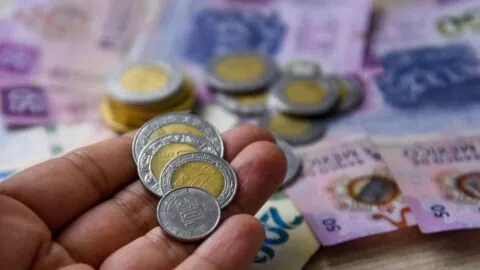 Ciudad Juárez ofrece 100% de descuento en recargos del predial durante agosto