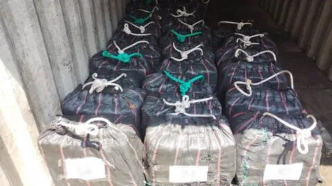 Cocaína a la deriva: Semar asegura más de 1.6 toneladas flotando frente a Michoacán