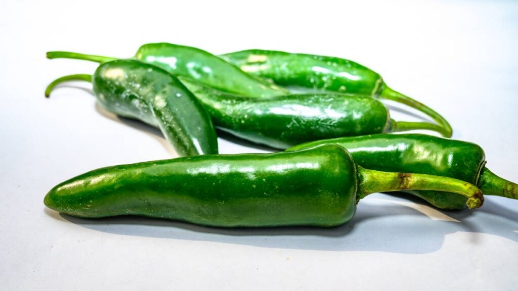 CDC sigue investigación sobre brote de salmonela en jalapeños