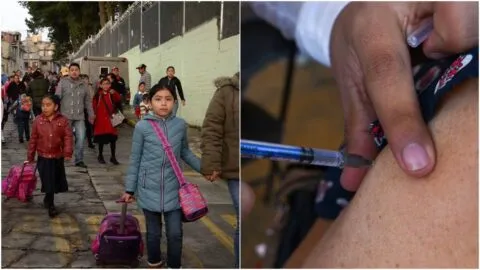Regreso a clases 2026: ¿qué vacunas deben tener niños y adolescentes según su edad?