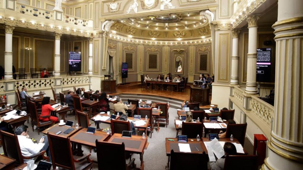 Grace Palomares se disculpó por sus comentarios sobre adultos mayores y dijo que esperará la decisión de Morena.