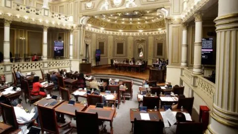 Grace Palomares se disculpa tras decir que adultos mayores "olían a baúl"
