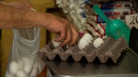 ¿Por qué México consume tanto huevo? Cada persona come hasta 410 piezas al año; el país lidera el consumo mundial