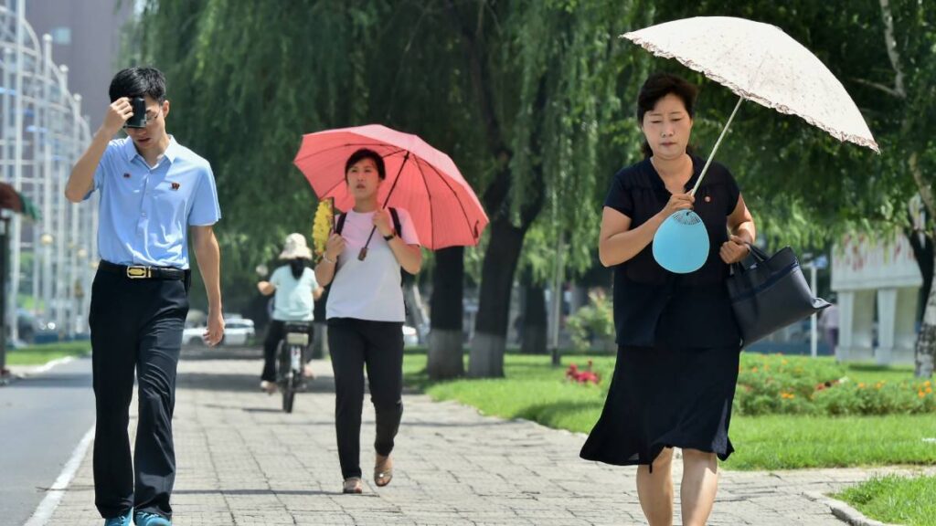 Corea del Norte promueve sopa de perro y caldo de ginseng para enfrentar el calor extremo que afecta a la península coreana.